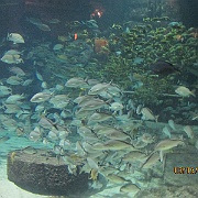 Picture 102